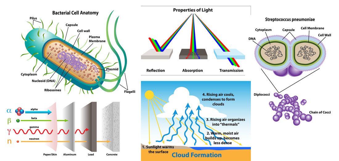 Science graphics for bacterial cell anatomy, streptococcus cells, cloud formation, radiation, and color in light