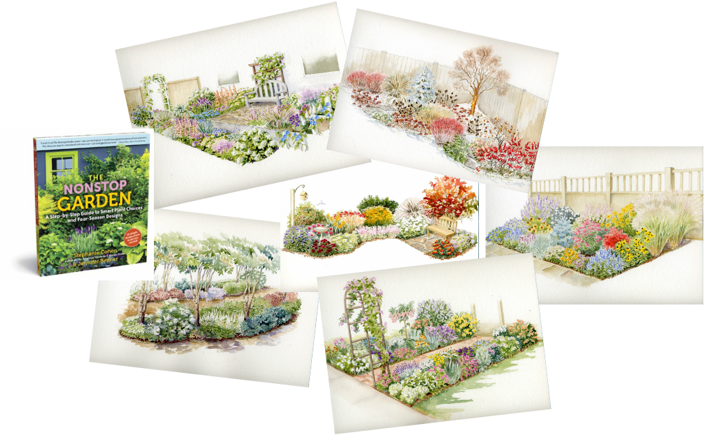 Watercolor illustrations in the book Nonstop Garden