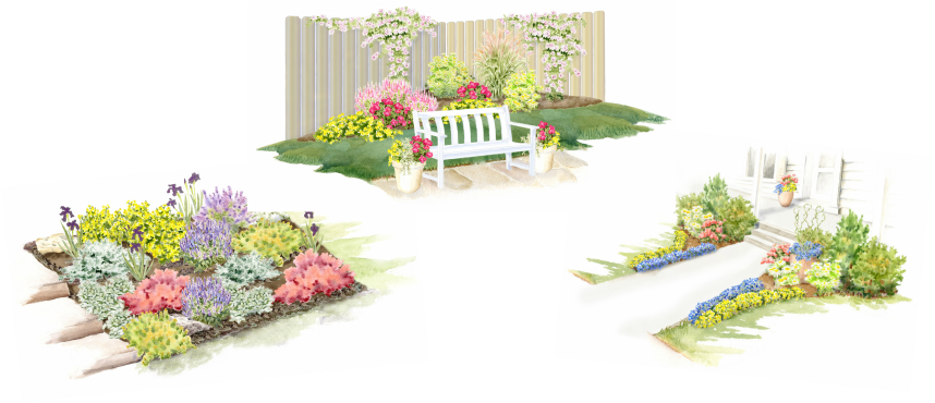 Three garden images in watercolor with colorful flowering plants.