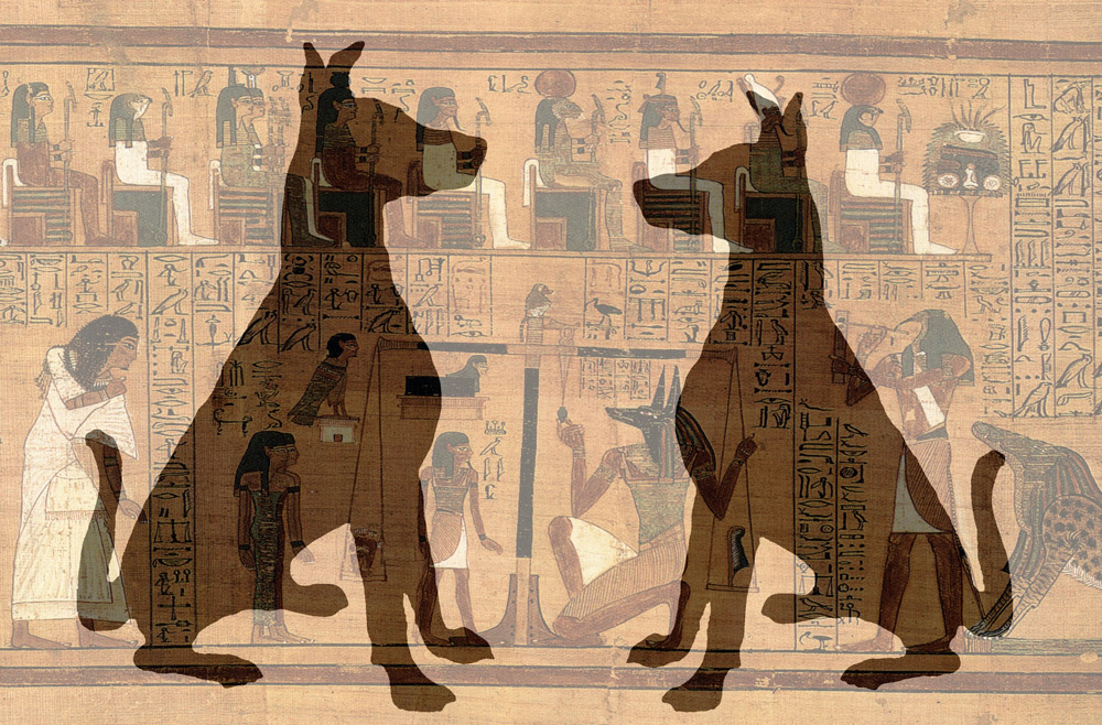 Sitting Proud is a creative digital photo collage of two dogs silhouetted and superimposed over an Egyptian hieroglyph papyrus scroll.